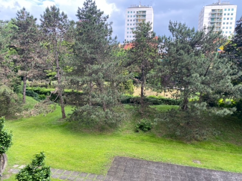 image8 (2).jpeg